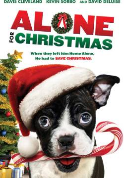 Alone for Christmas - Mamma ho perso il cane (2013)