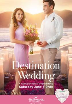 Destination Wedding - Destinazione Matrimonio (2017)