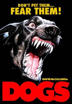 Dogs - Questo cane uccide! (1976)