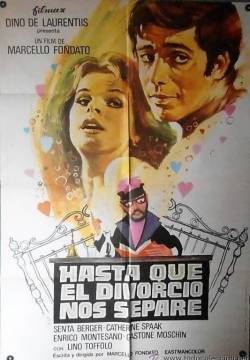 Causa di divorzio (1972)