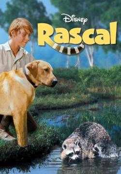 Rascal, l’orsetto lavatore (1969)