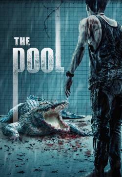 The Pool (2018)