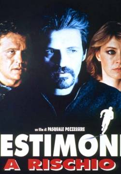 Testimone a rischio (1997)