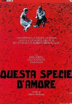 Questa specie d'amore (1972)