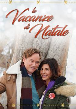 A Christmas Break - Le vacanze di Natale (2020)