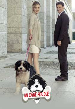 Un cane per due (2010)