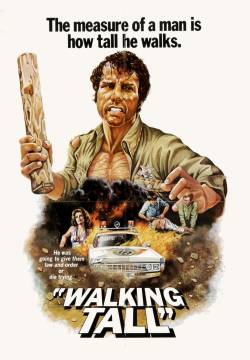 Walking Tall - Un duro per la legge (1973)