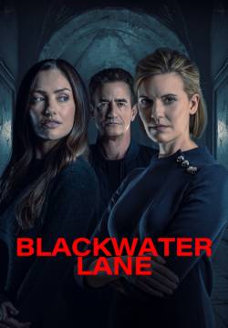 Blackwater Lane - La moglie imperfetta (2024)